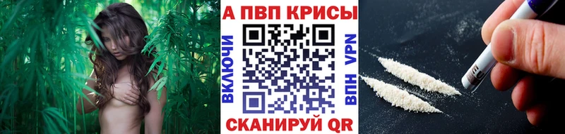где найти   ссылка на мегу   A PVP СК  Пыть-Ях 