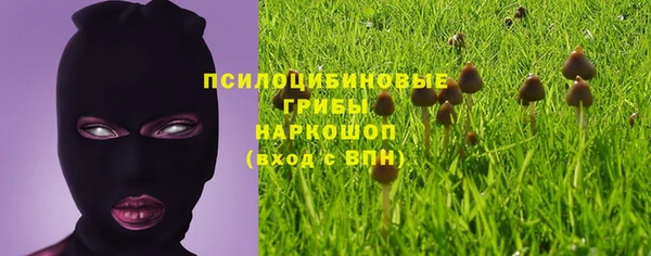 стаф Балабаново